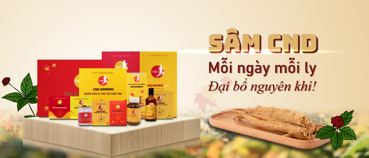 VTV3 - Sâm Bắc Mỹ CND tại triển lãm Food & Hospitality Hà Nội 2025